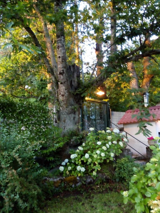 Al Castagno Bed & Breakfast Vico Equense Bagian luar foto