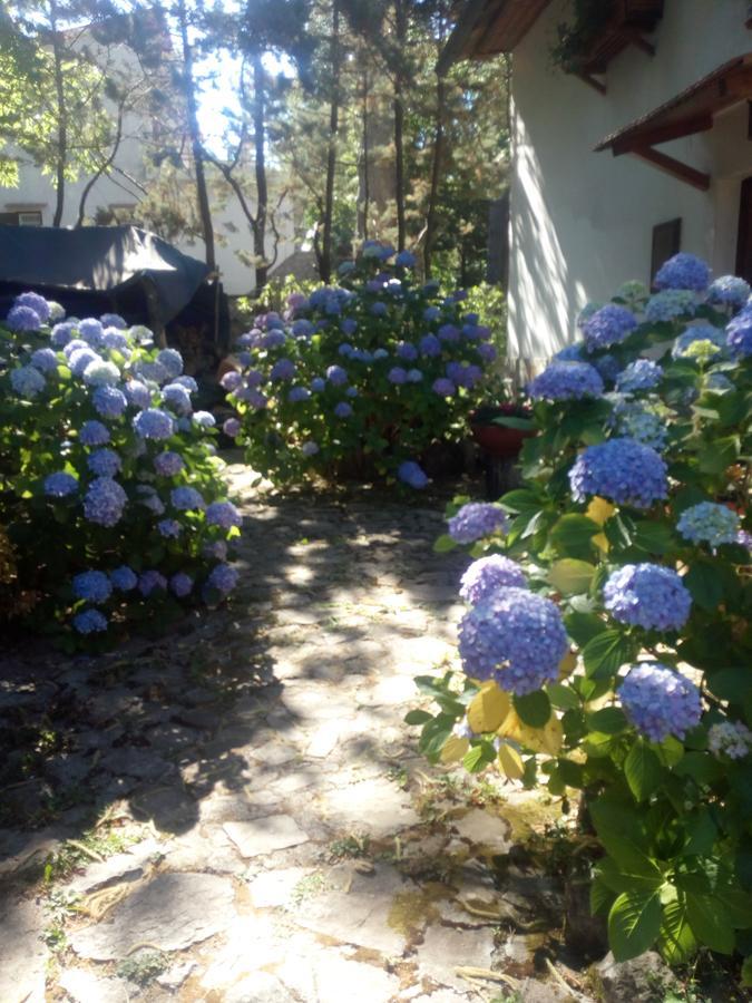 Al Castagno Bed & Breakfast Vico Equense Bagian luar foto
